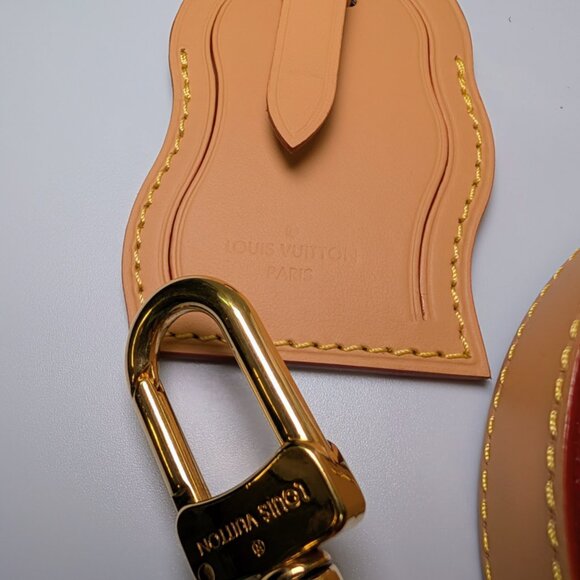 Louis Vuitton x Tyler the Creator Colorful Monogram Craggy Envelope Shoulder Bag - Picture 15 of 16